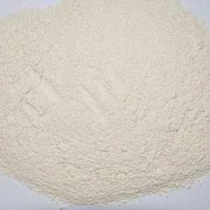 Cebolla Deshidratada En Polvo