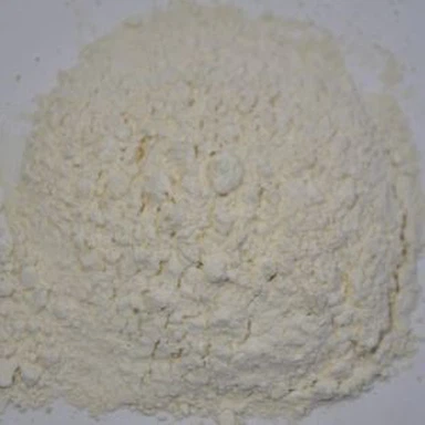 Ajo molido en polvo